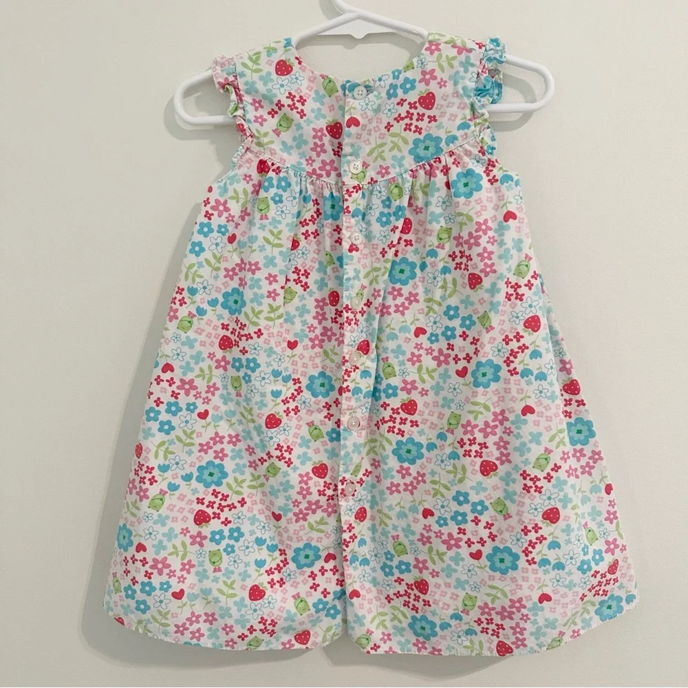 Carter's Green Pink and Blue Pleated Sundress with Frogs and Strawberry Hearts